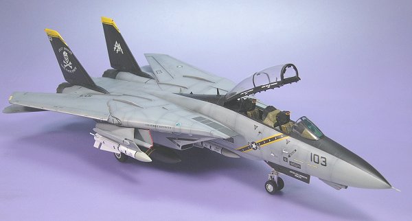 F-14B　トムキャット (1/72)　（２）