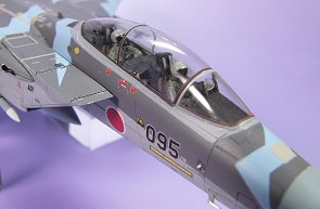 F-15D/J　アグレッサー（5）