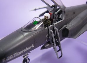 F-20　Tigerｓhark（6）