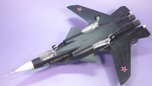 Su-37　BERKUT（5）